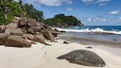 Anse Bazarca beach on the south of Mahe Island, Seychelles
