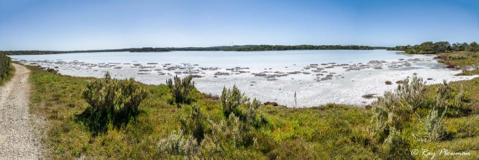 Pipe Clay Lake at Salt Creek in the Coorong National Park, Limestone Coast