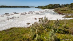 Pipe Clay Lake at Salt Creek in The Coorong National Park, Limestone Coast, South Australia
