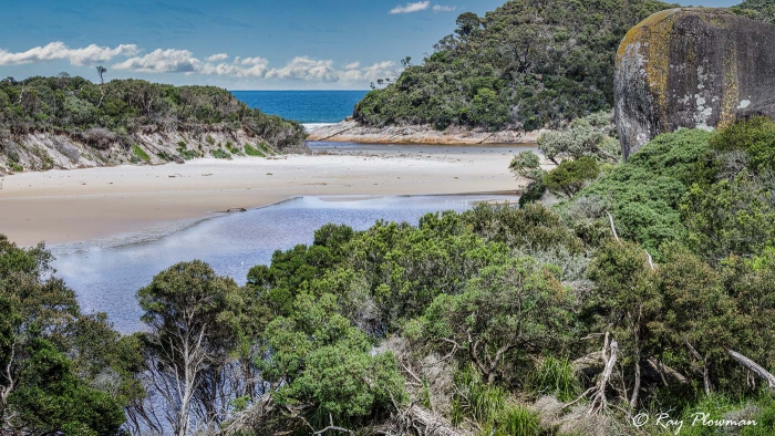 Tidal River Estuary from Lilly Pilly Link Track at Wilsons Promontory National Park in South Gippsland