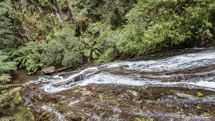 Upper Falls in the Tarra Valley, Tarra Bulgar National Park, Central Gippsland