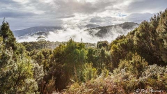 Early morning mist and cloud at the Wild Rivers National Park in Tasmania